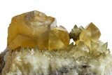 Golden Beam Calcite Crystal Cluster - Morocco #159519-1